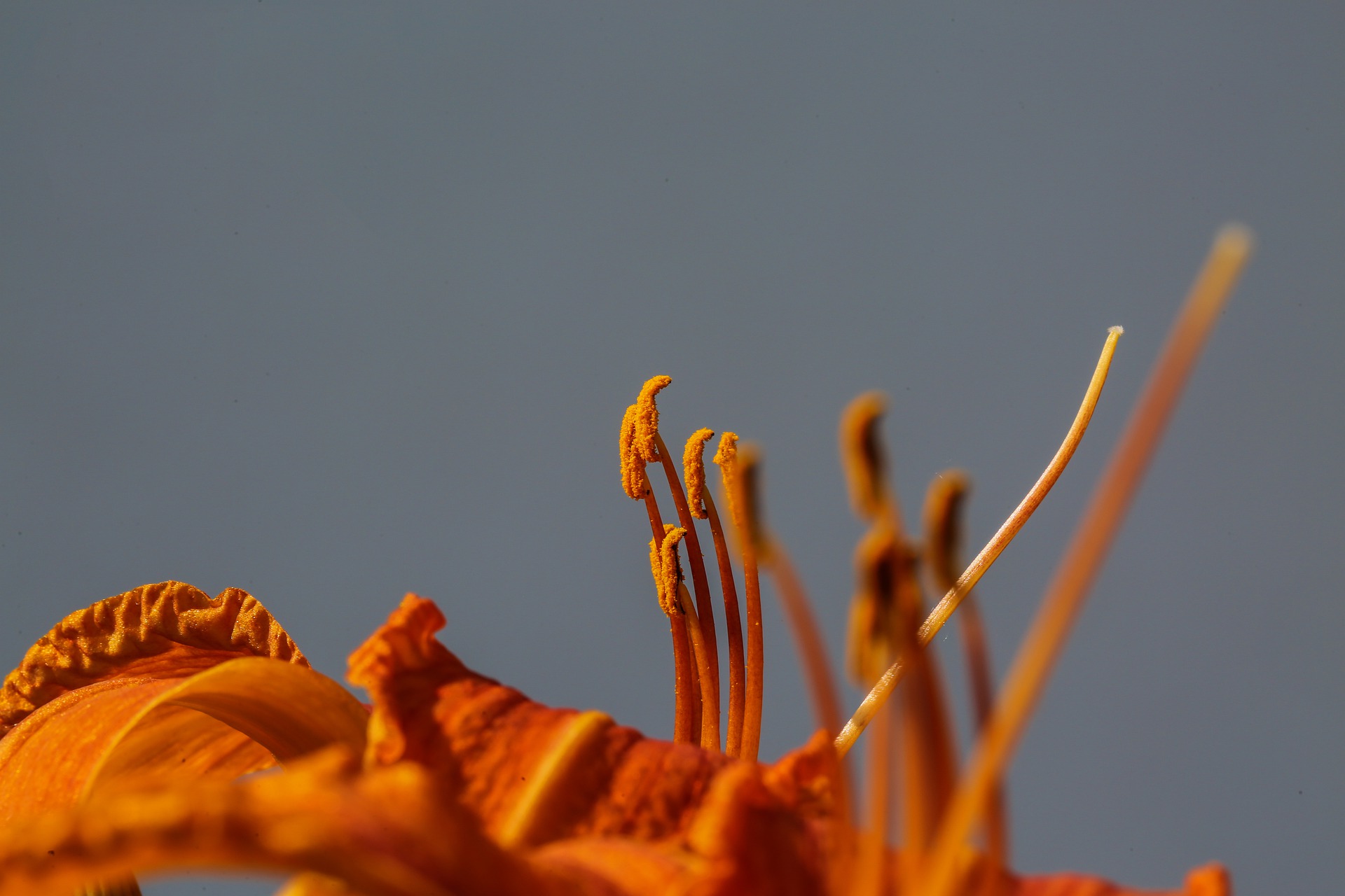 花粉対策に 花粉ブロックスプレーおすすめ10選 Kencoco ケンココ