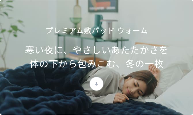 プレミアム冬用寝具2点セット / 冬用掛け布団（プレミアム）・冬用敷き
