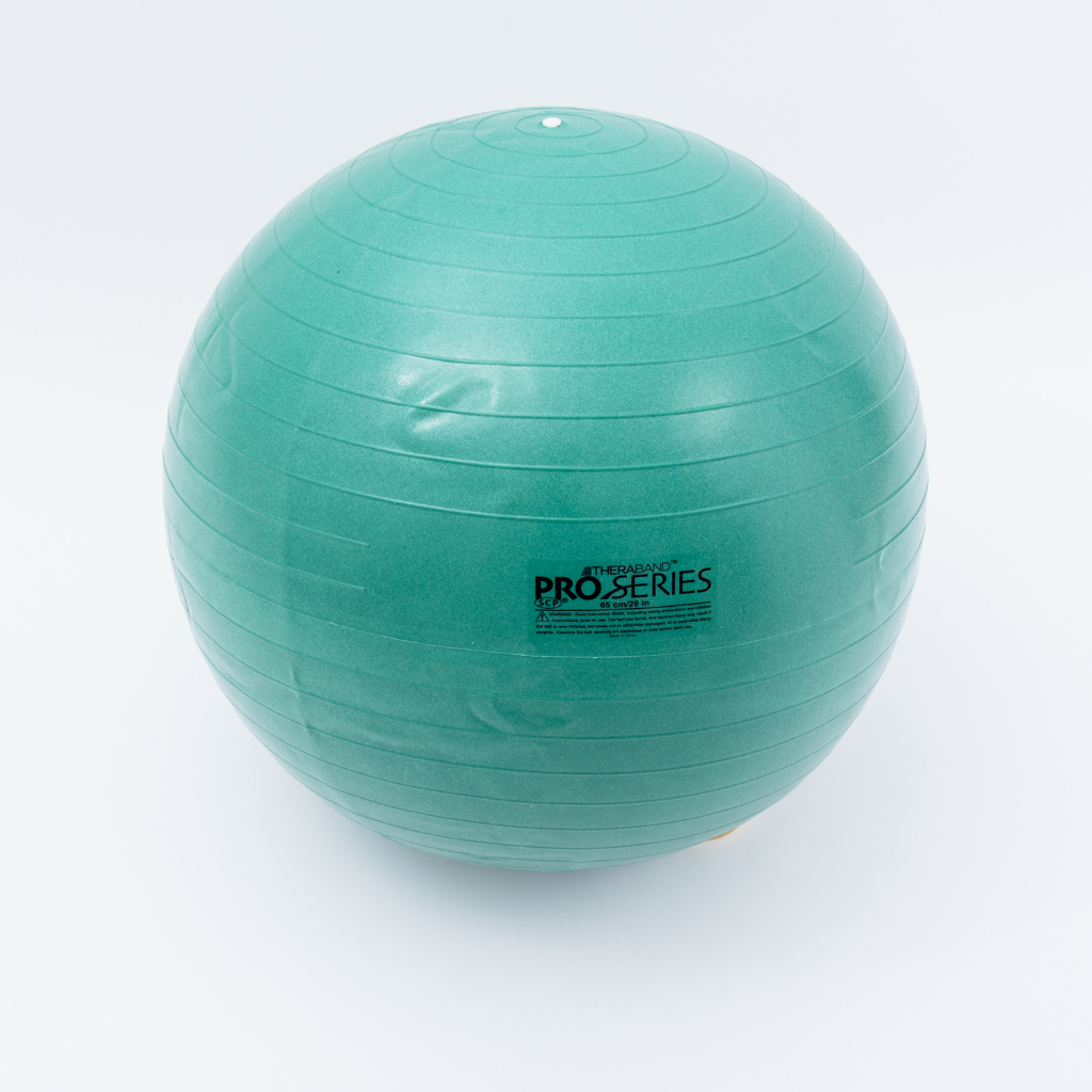 D M Sds 65 Theraband セラバンド エクササイズボール Kencoco ケンココ